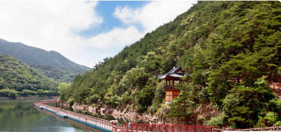 금오지 힐링 산책